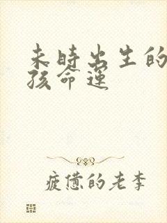 未时出生的鼠男孩命运封面