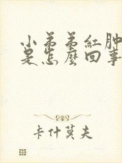 小弟弟红肿瘙痒是怎么回事