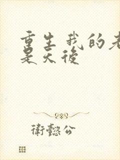 重生 我的老婆是天后