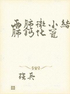 两肺微小结节左肺钙化灶封面