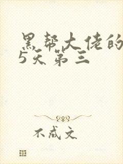 黑帮大佬的365天第三