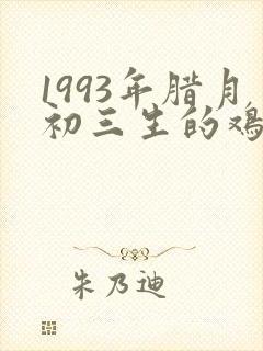 1993年腊月初三生的鸡命运
