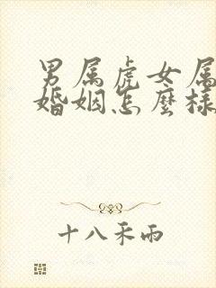 男属虎女属牛的婚姻怎么样封面