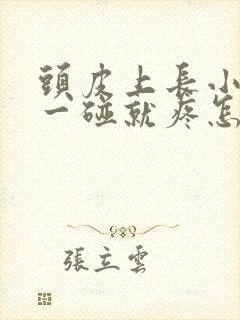 头皮上长小疙瘩一碰就疼怎么回事