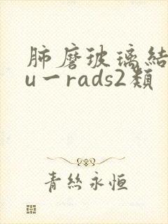 肺磨玻璃结节lu一rads2类封面