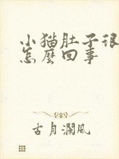 小猫肚子很胀是怎么回事