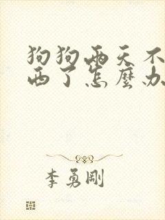 狗狗两天不吃东西了怎么办