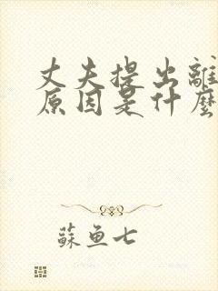 丈夫提出离婚的原因是什么?