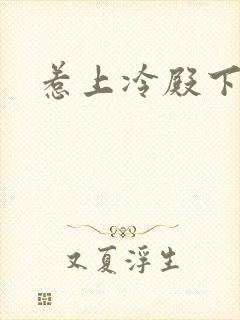 惹上冷殿下结局