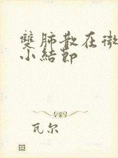 双肺散在微小及小结节封面