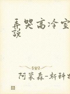 弄哭高冷室友小说