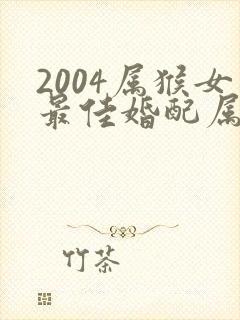 2004属猴女最佳婚配属相是什么