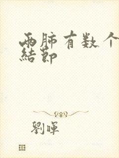 两肺有数个微小结节