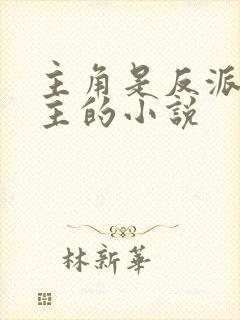 主角是反派抢女主的小说封面