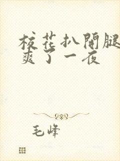 校花扒开腿让我爽了一夜封面