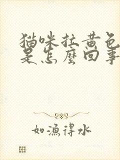 猫咪拉黄色的尿是怎么回事