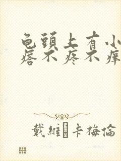 龟头上有小红疙瘩不疼不痒是怎么回事