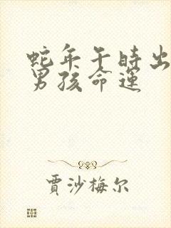 蛇年午时出生的男孩命运