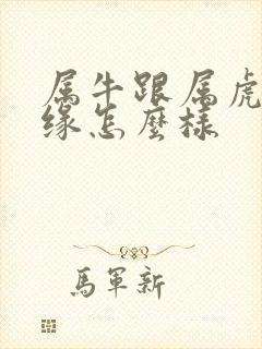 属牛跟属虎的姻缘怎么样封面