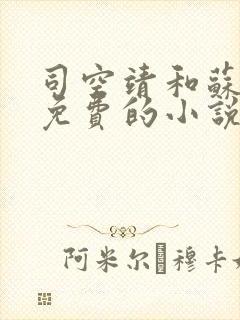 司空靖和苏月汐免费的小说笔趣阁