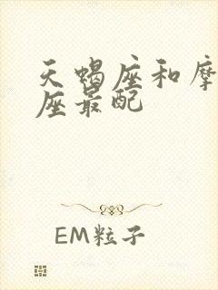 天蝎座和摩羯星座最配