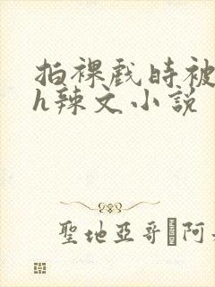 拍裸戏时被c了h辣文小说封面