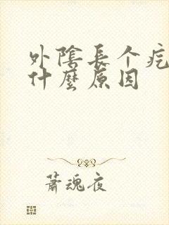 外阴长个疙瘩是什么原因