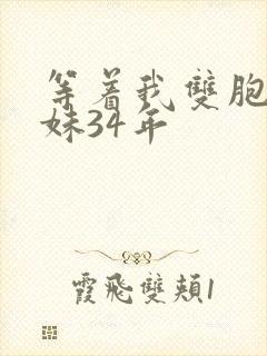 等着我双胞胎姐妹34年