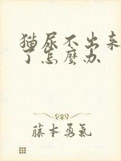 猫尿不出来还吐了怎么办