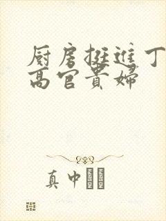 厨房挺进丁字裤高官贵妇