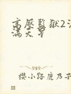 高压监狱2法国满天星封面