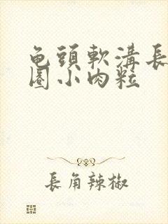 龟头软沟长了一圈小肉粒