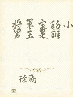 将军家的小娘子男主是谁封面