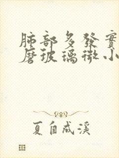 肺部多发实性及磨玻璃微小结节