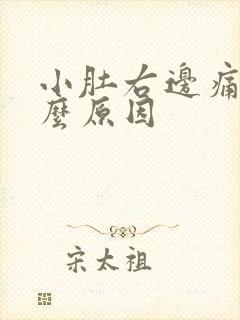 小肚右边痛是什么原因