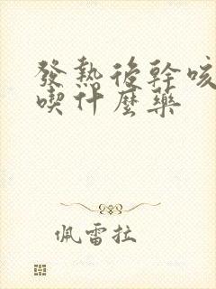 发热后干咳无痰吃什么药