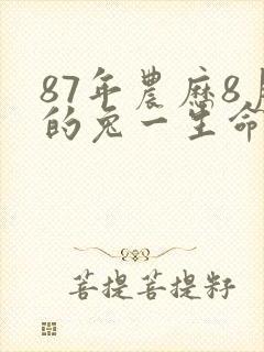 87年农历8月的兔一生命运封面