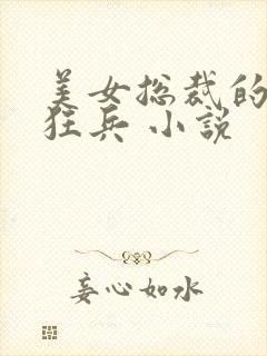 美女总裁的极品狂兵 小说封面