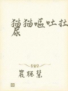 猫猫呕吐拉不出尿