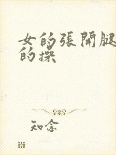 女的张开腿让男的操