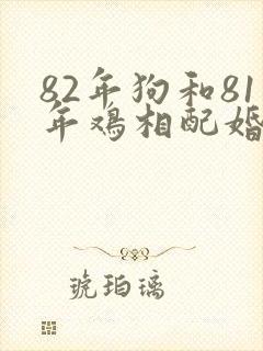82年狗和81年鸡相配婚姻如何