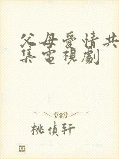 父母爱情共多少集电视剧封面