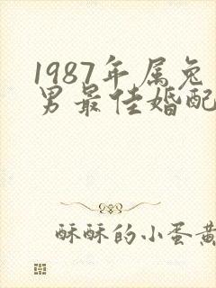 1987年属兔男最佳婚配属相
