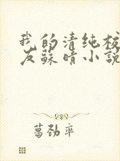 我的清纯校花女友苏晴小说最新章节封面