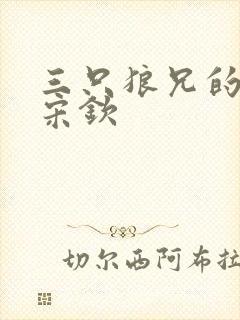 三只狼兄的宠妻宋钦