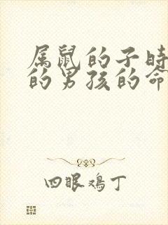 属鼠的子时出生的男孩的命运