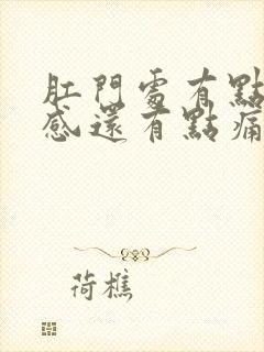 肛门处有点下坠感还有点痛什么原因