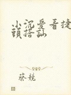 小沉爱看捷克街头搭讪