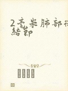 2毫米肺部微小结节封面