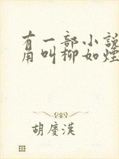 有一部小说女主角叫柳如烟封面